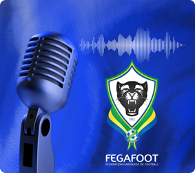 Interviews de Joueurs